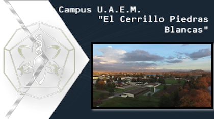 Campus El Cerrillo